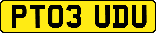 PT03UDU