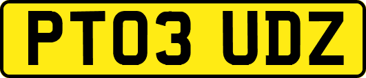 PT03UDZ