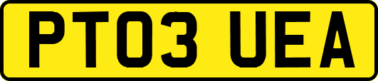 PT03UEA