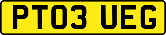 PT03UEG
