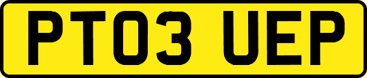 PT03UEP