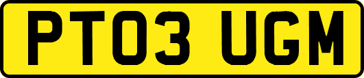 PT03UGM