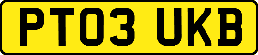 PT03UKB