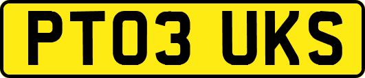 PT03UKS