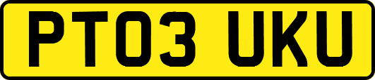PT03UKU