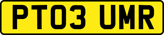 PT03UMR