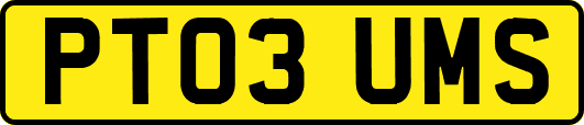 PT03UMS