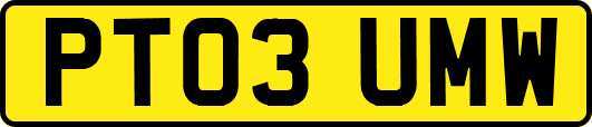 PT03UMW