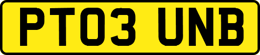 PT03UNB