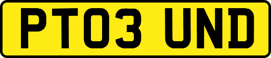 PT03UND