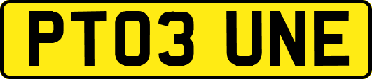 PT03UNE
