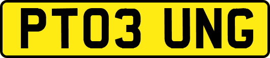 PT03UNG