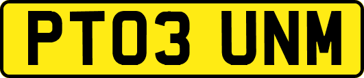 PT03UNM