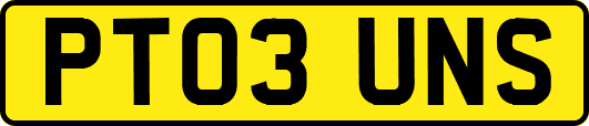 PT03UNS