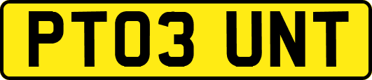 PT03UNT