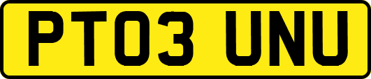 PT03UNU