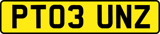 PT03UNZ