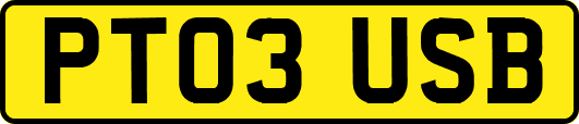 PT03USB