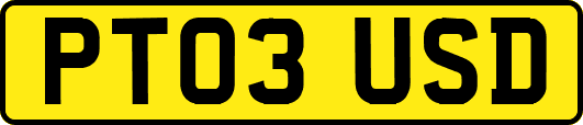 PT03USD