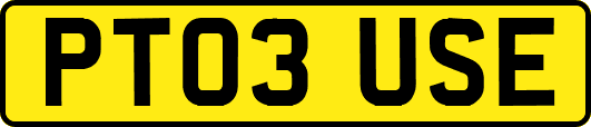 PT03USE