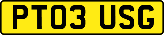 PT03USG