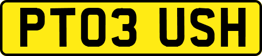 PT03USH