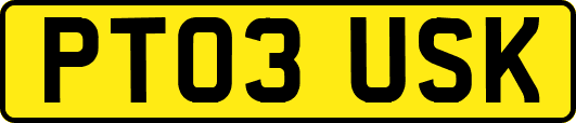 PT03USK