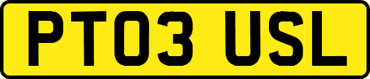 PT03USL