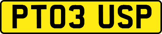 PT03USP