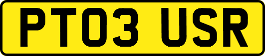 PT03USR