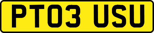 PT03USU