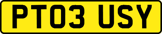 PT03USY