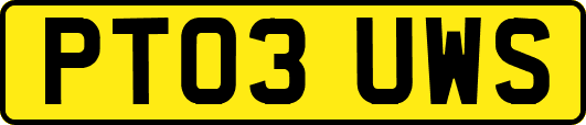 PT03UWS