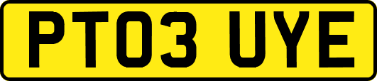 PT03UYE