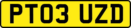 PT03UZD