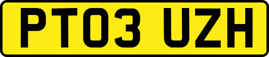 PT03UZH