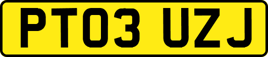 PT03UZJ