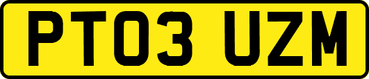 PT03UZM