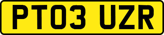 PT03UZR