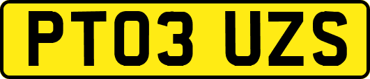 PT03UZS