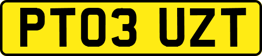 PT03UZT