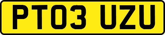 PT03UZU