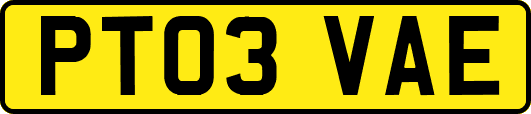 PT03VAE