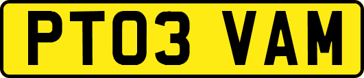 PT03VAM