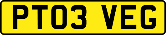 PT03VEG