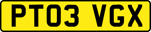 PT03VGX