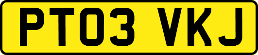 PT03VKJ