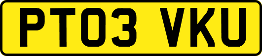 PT03VKU