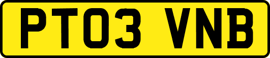 PT03VNB