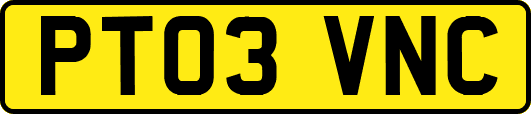 PT03VNC